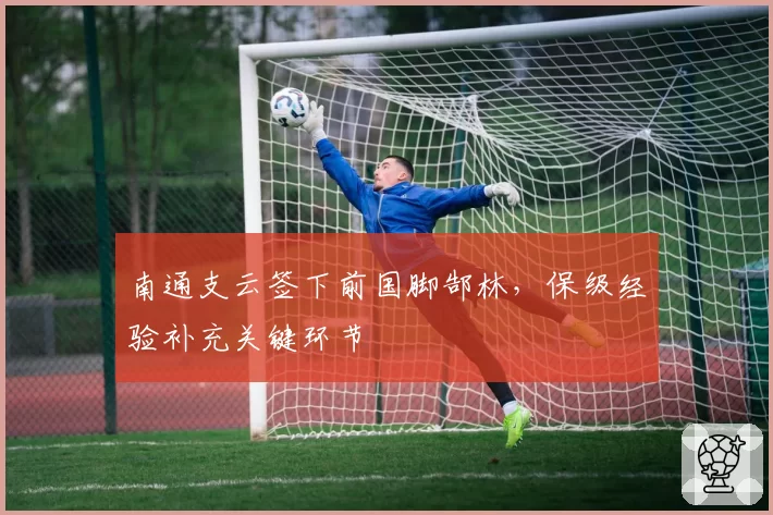 南通支云签下前国脚郜林,保级经验补充关键环节